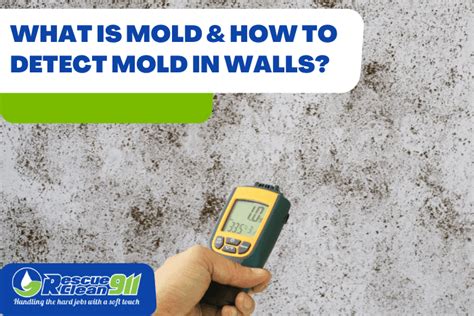How to Detect Mold in Walls: The Ultimate Guide .